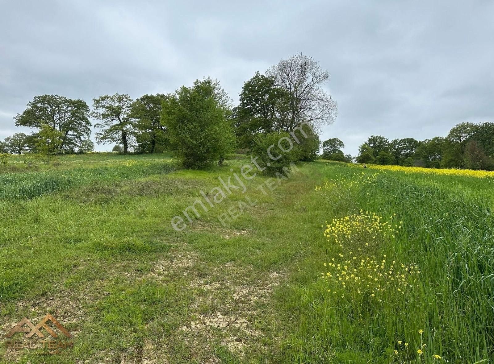 Yatırımlık Kupon Tarla - Görsel 11