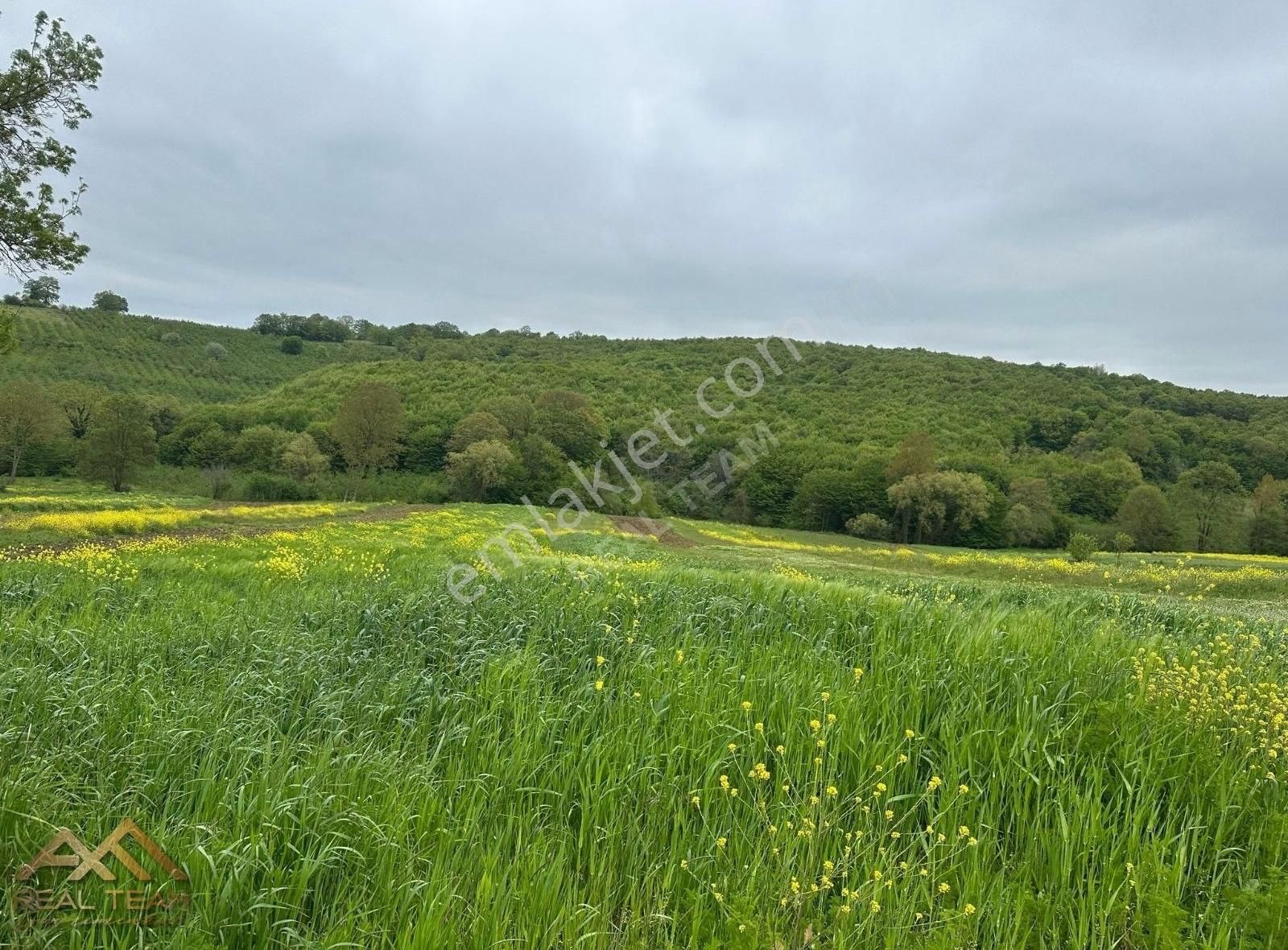 Yatırımlık Kupon Tarla - Görsel 15