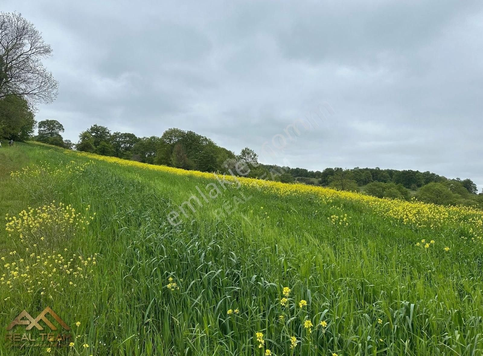 Yatırımlık Kupon Tarla - Görsel 13