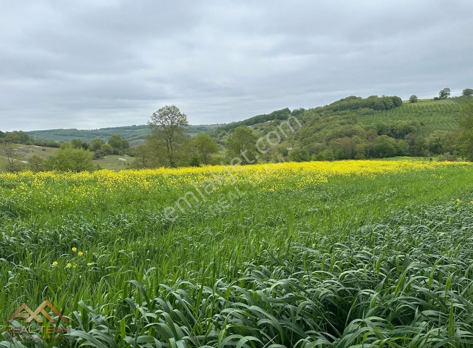 Yatırımlık Kupon Tarla - Görsel 5