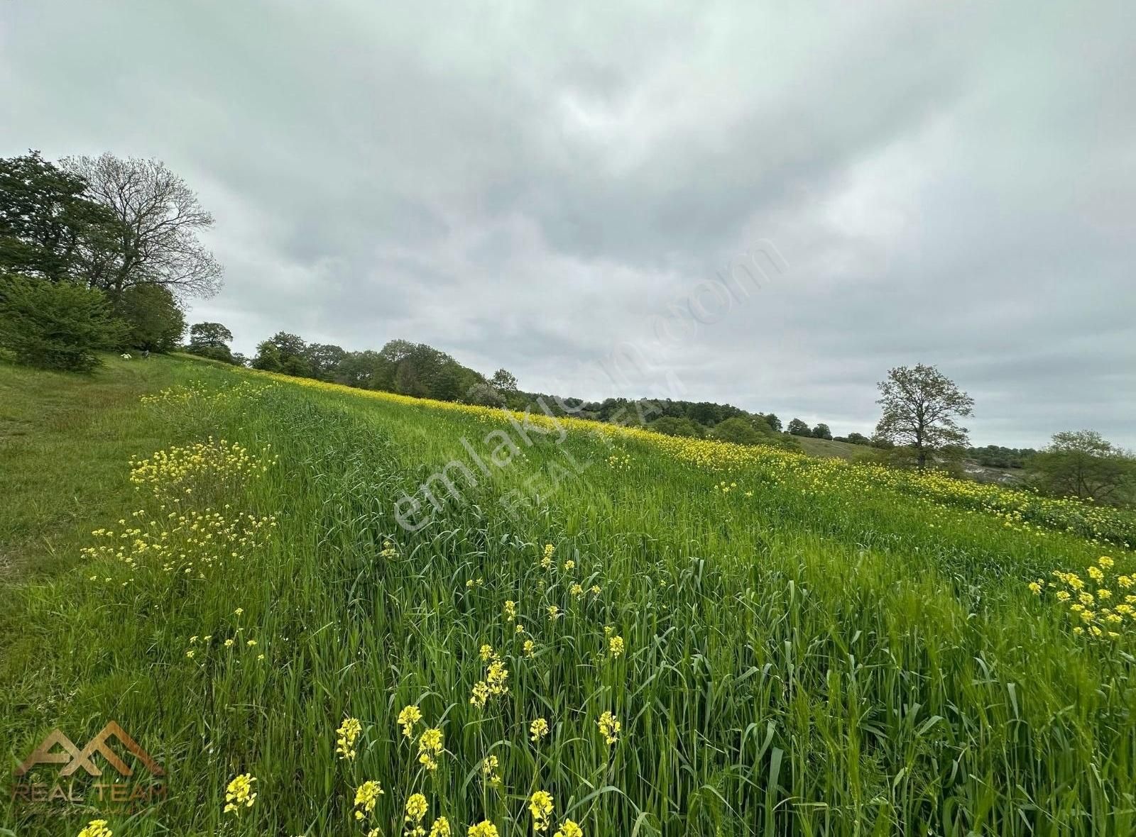 Yatırımlık Kupon Tarla - Görsel 8