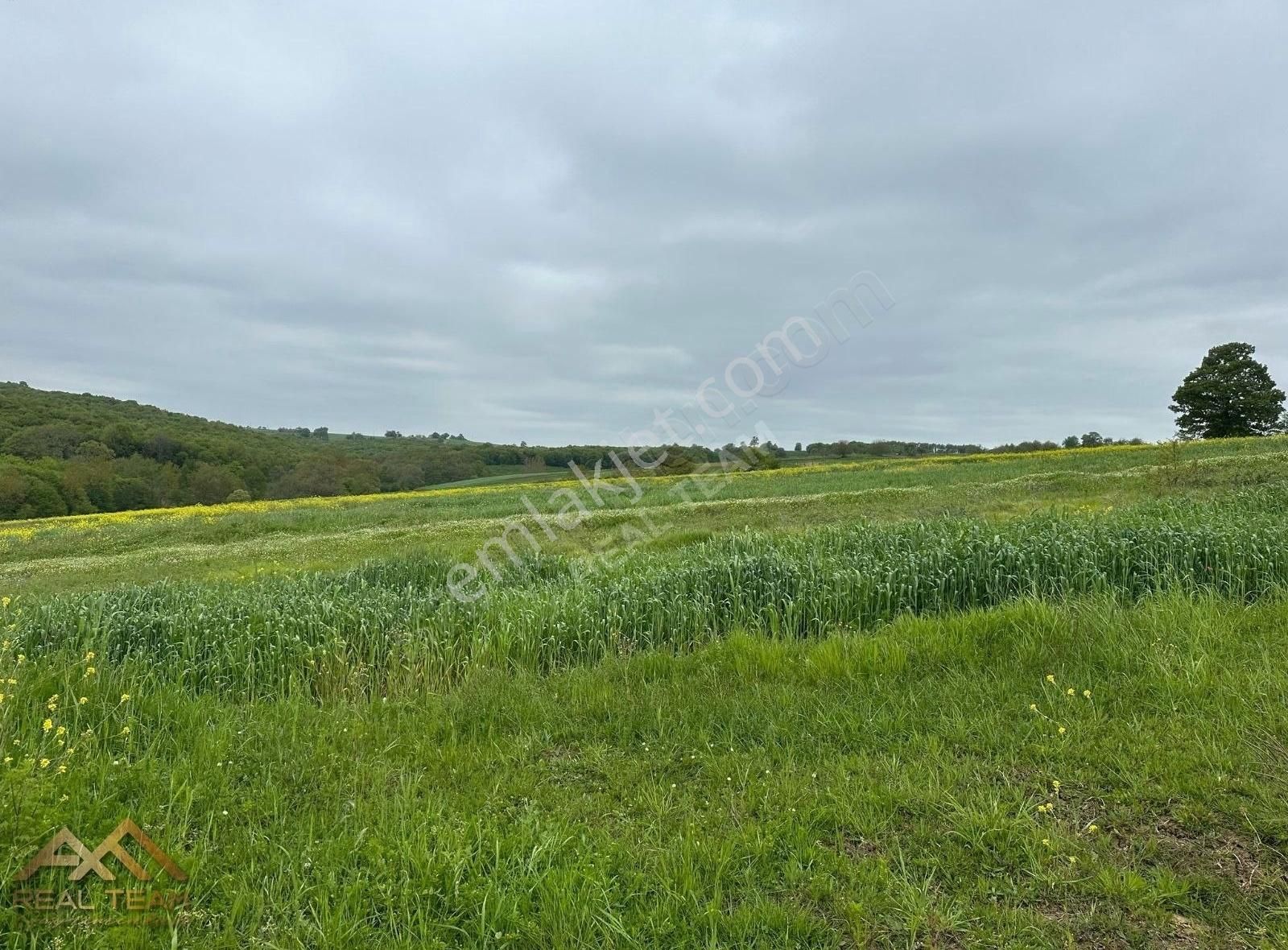 Yatırımlık Kupon Tarla - Görsel 7