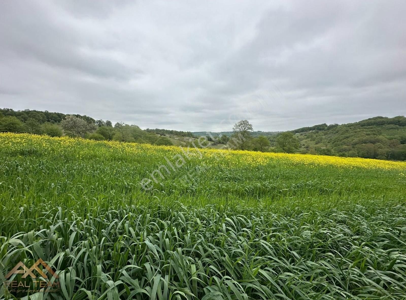 Yatırımlık Kupon Tarla - Görsel 12