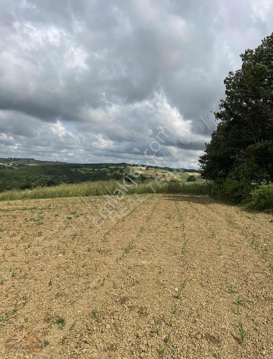 Mühteşem Konum Bakmadan Geçme - Görsel 9