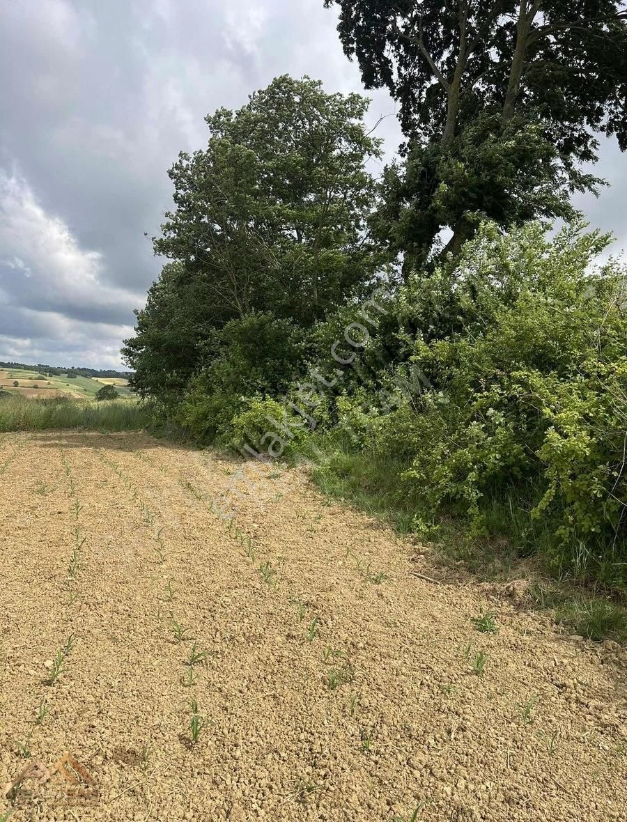 Mühteşem Konum Bakmadan Geçme - Görsel 11