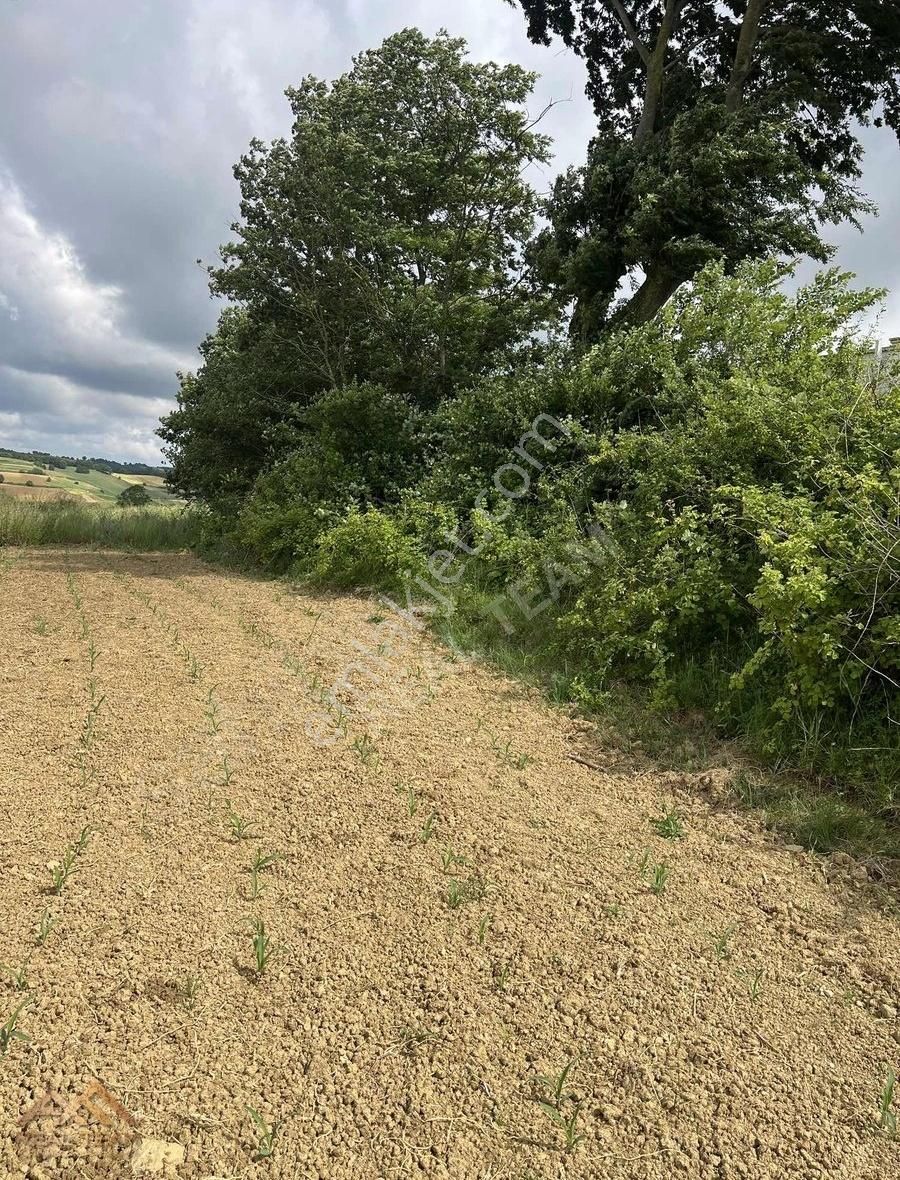 Mühteşem Konum Bakmadan Geçme - Görsel 5