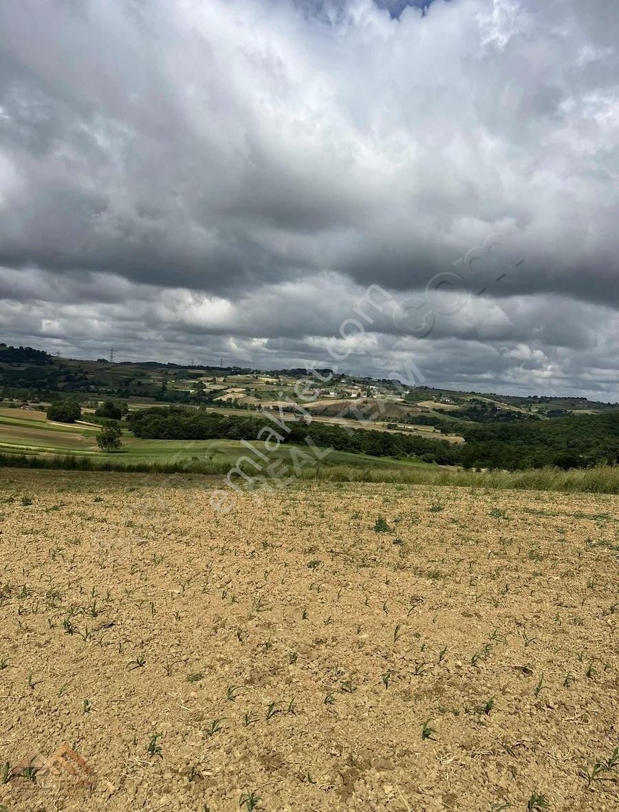Mühteşem Konum Bakmadan Geçme - Görsel 6