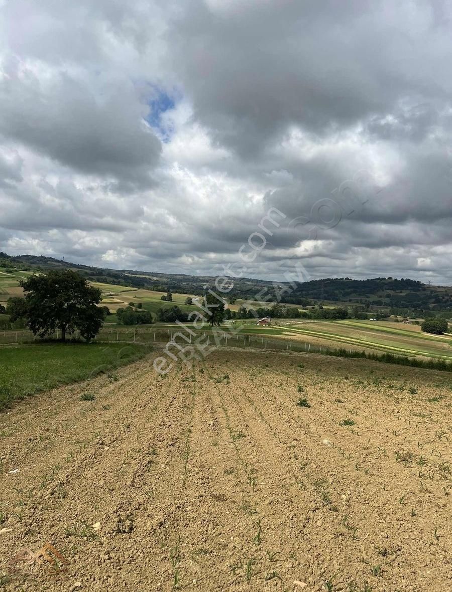 Mühteşem Konum Bakmadan Geçme - Görsel 13