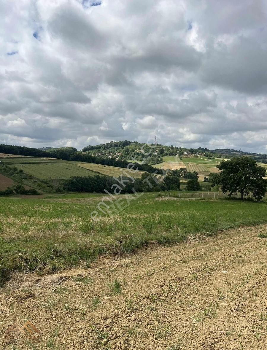 Mühteşem Konum Bakmadan Geçme - Görsel 7