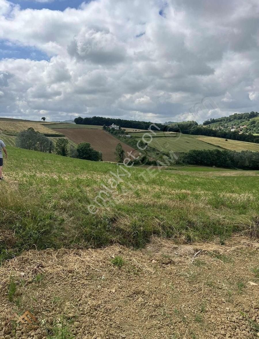Mühteşem Konum Bakmadan Geçme - Görsel 12