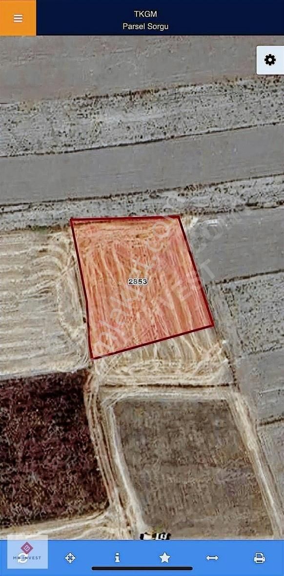 Yatırımlık Tarla Karamanlı Kılavuzlar'da 1587 M2 - Görsel 2