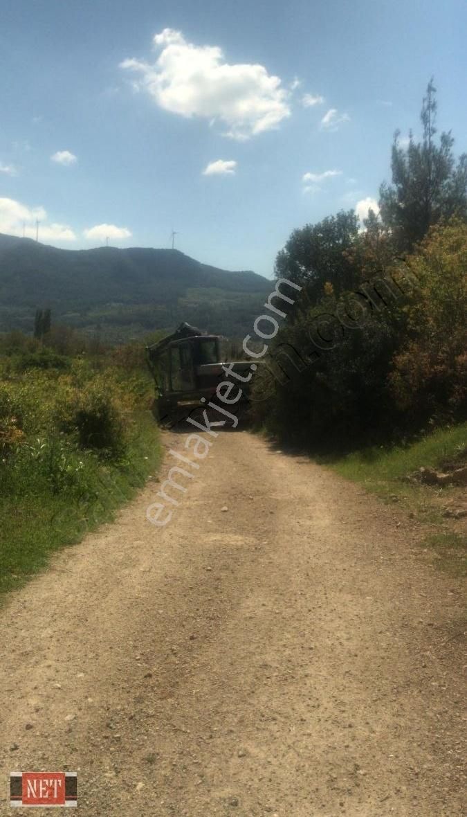 Dam Yapmaya Hayvan Beslemeye Müsait Binek Araçla Ulasilan, - Görsel 4