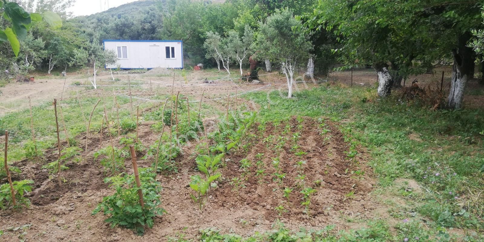 Satılık Bahçe Erdek Balıkesir - Görsel 8