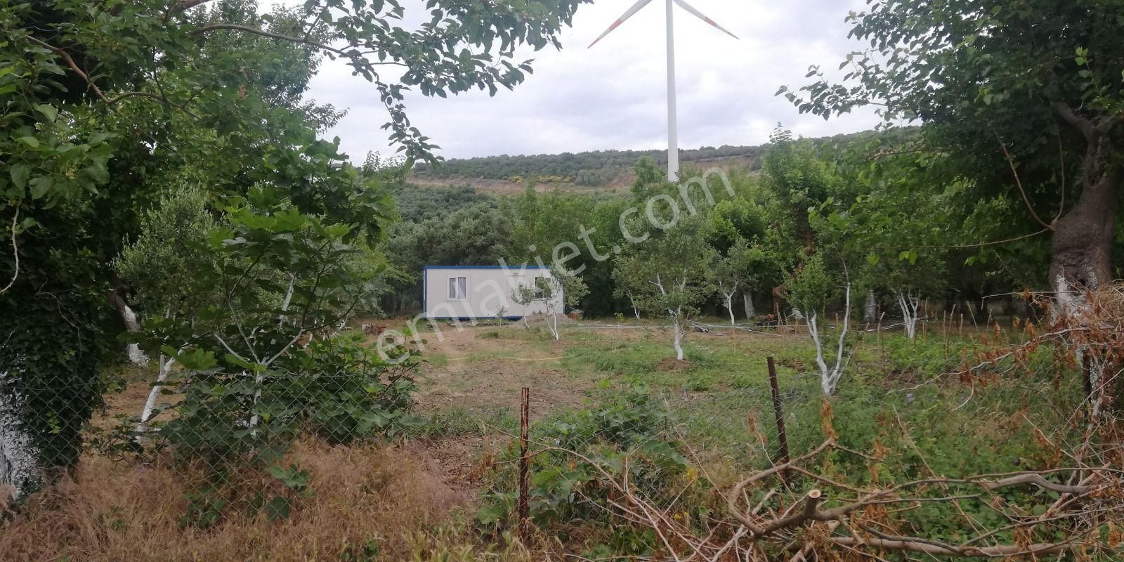 Satılık Bahçe Erdek Balıkesir - Görsel 7