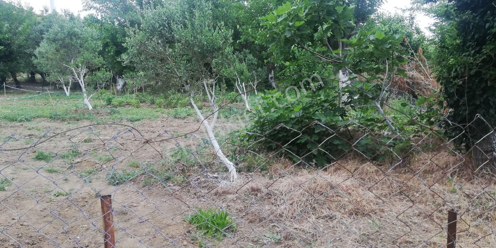 Satılık Bahçe Erdek Balıkesir - Görsel 6