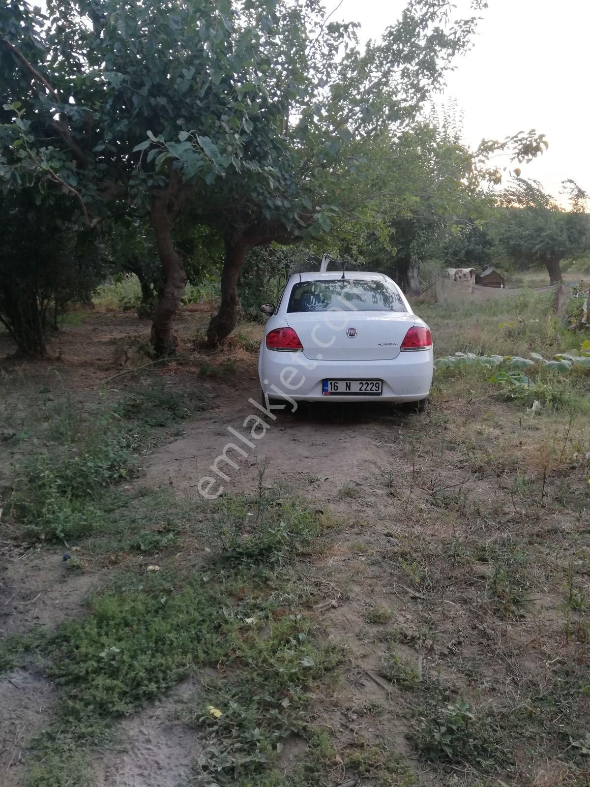 Satılık Bahçe Erdek Balıkesir - Görsel 16