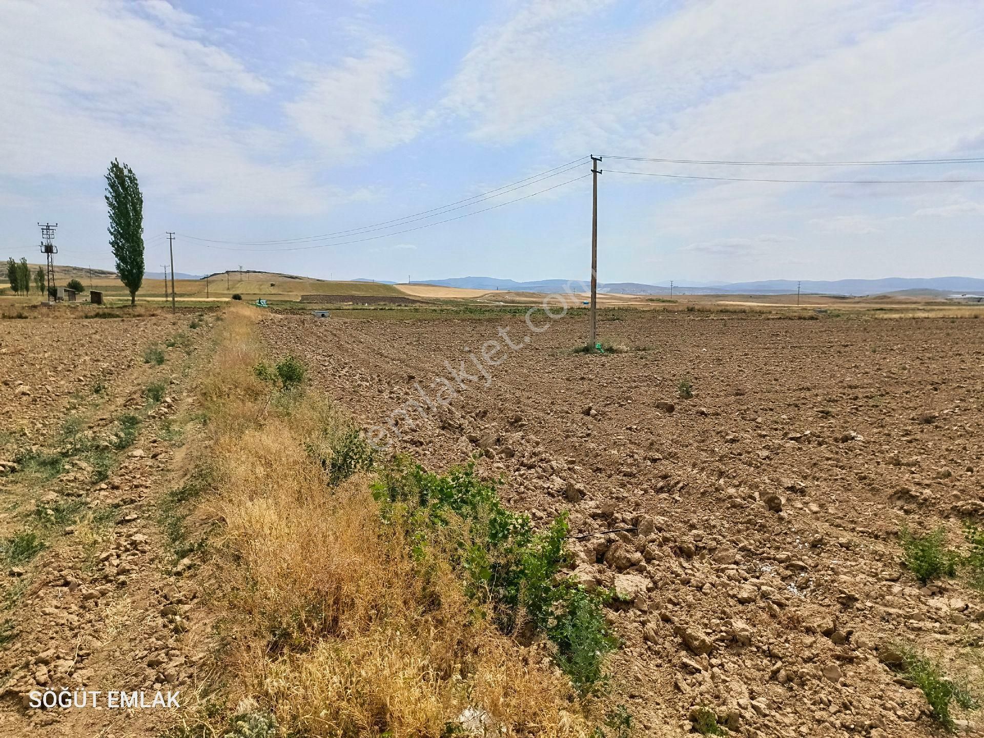 Söğüt Emlak'tan İscehisar'da Satılık Tarla 3680m2