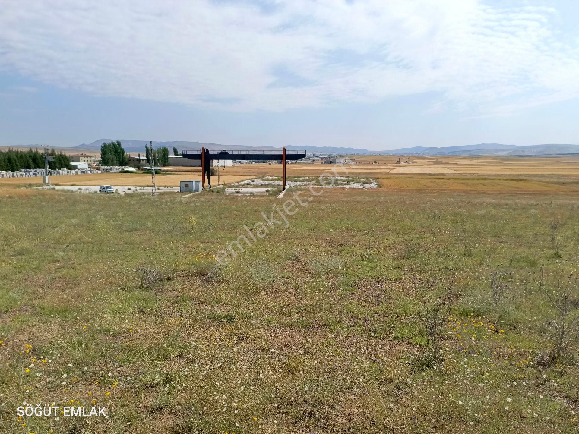 Söğüt Emlak'tan İscehisar'da Satılık Tarla Decros Mer Arkasında