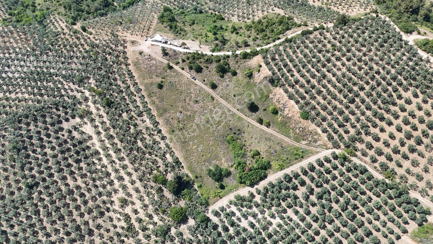 Kumla Konak Emlak”tan Satılık Arsa - Görsel 14