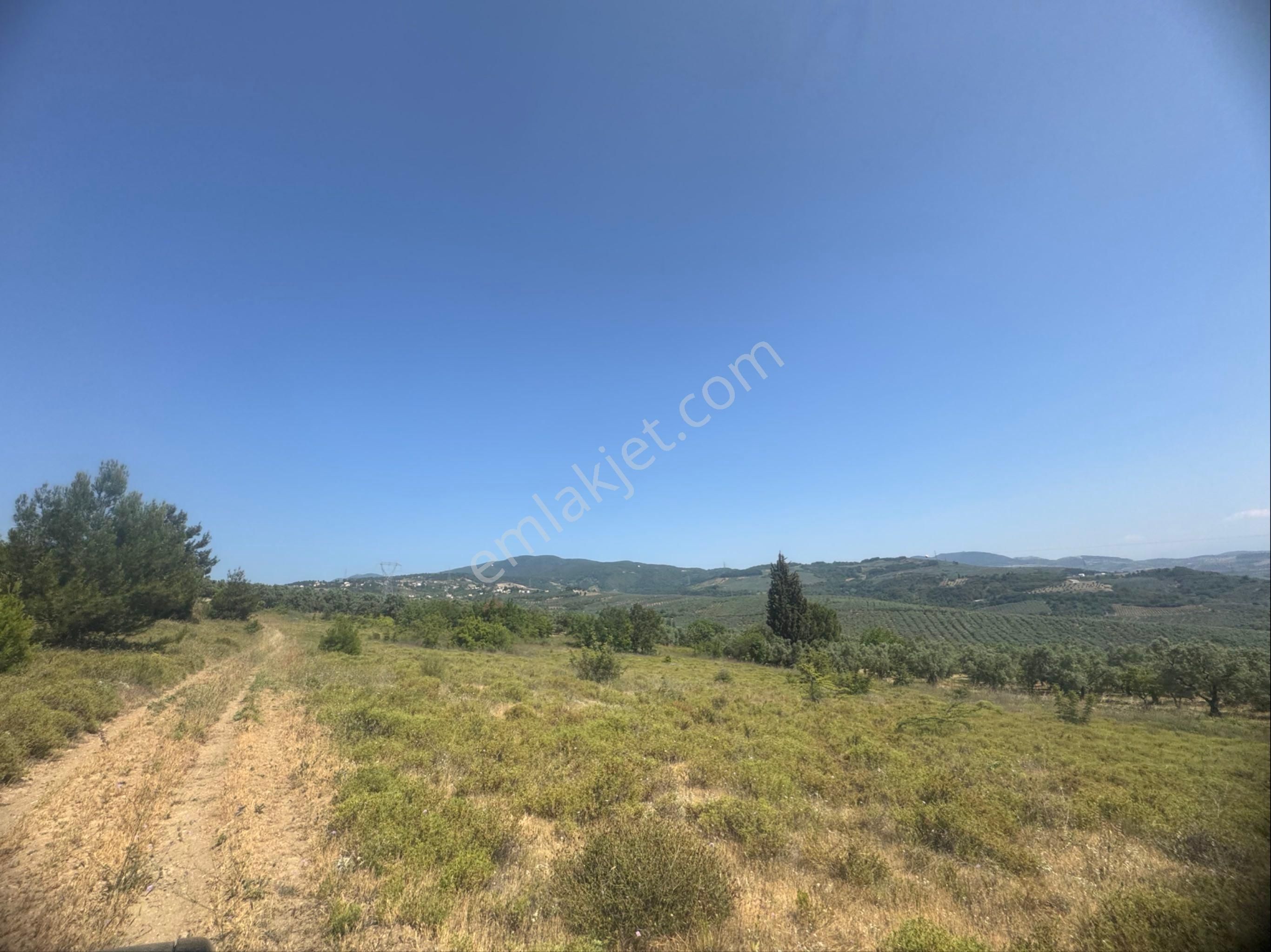 Kumla Konak Emlak”tan Satılık Arsa - Görsel 17