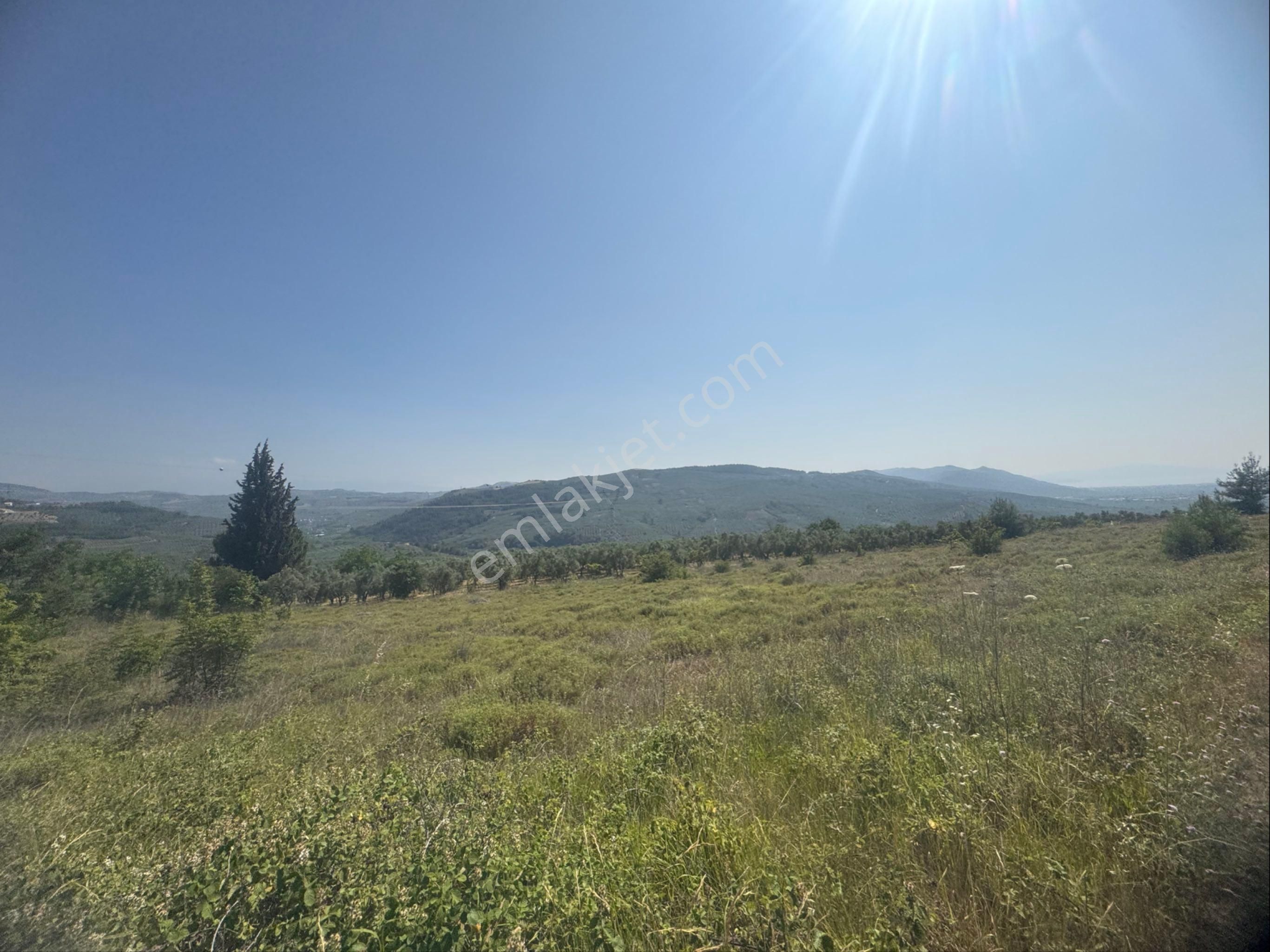 Kumla Konak Emlak”tan Satılık Arsa - Görsel 21