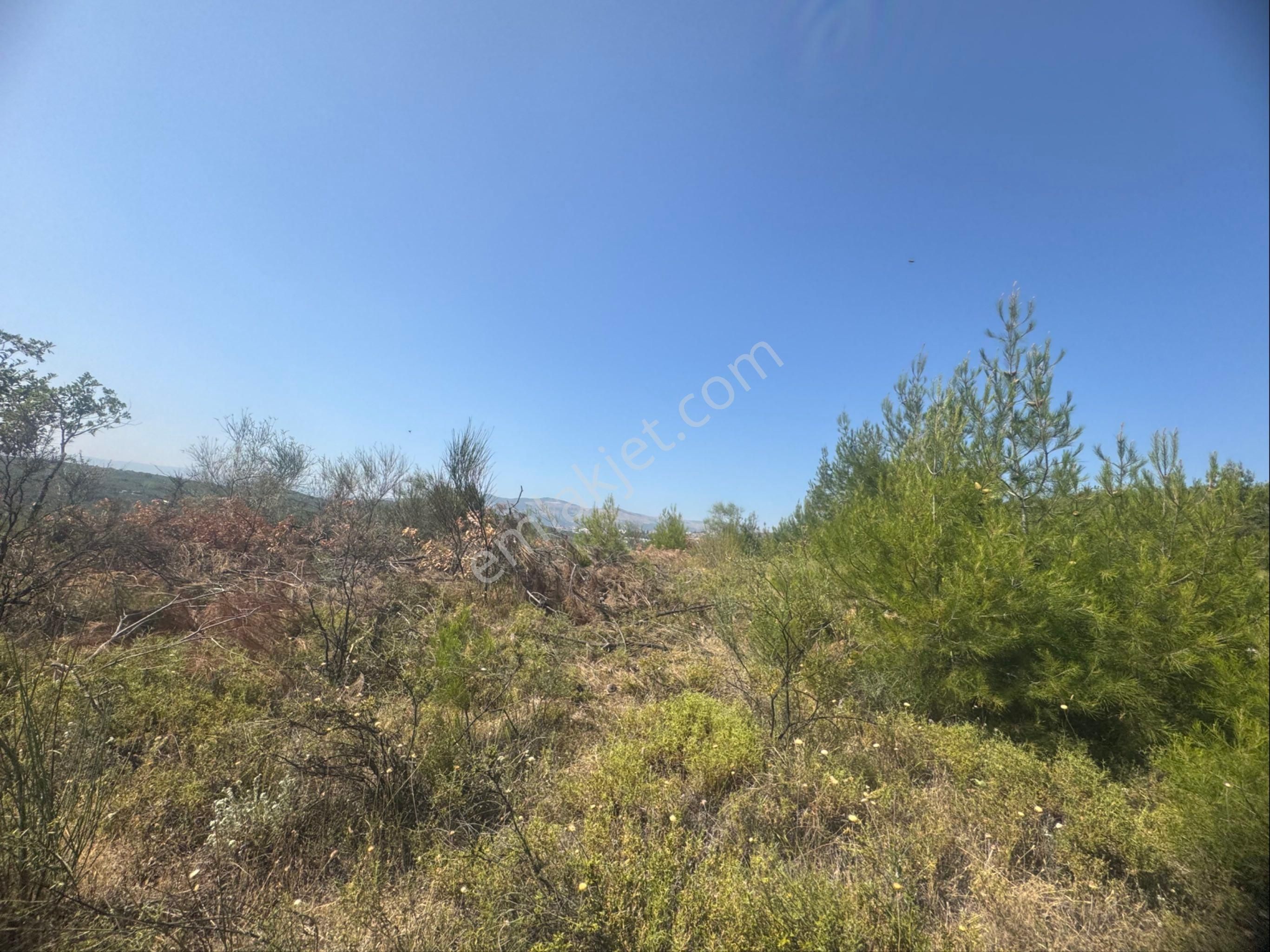 Kumla Konak Emlak”tan Satılık Arsa - Görsel 18