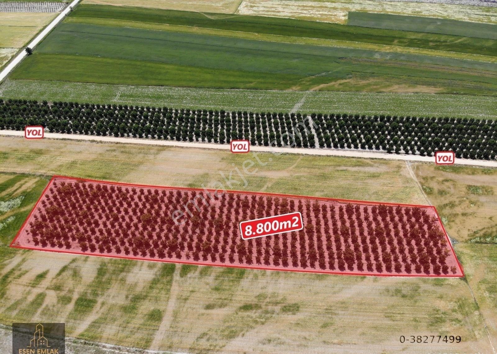 Antalya Elmalı Tavullar Mahallesinde 8.800m2 Yetişkin Satılık Elma Bahçesi - Görsel 2