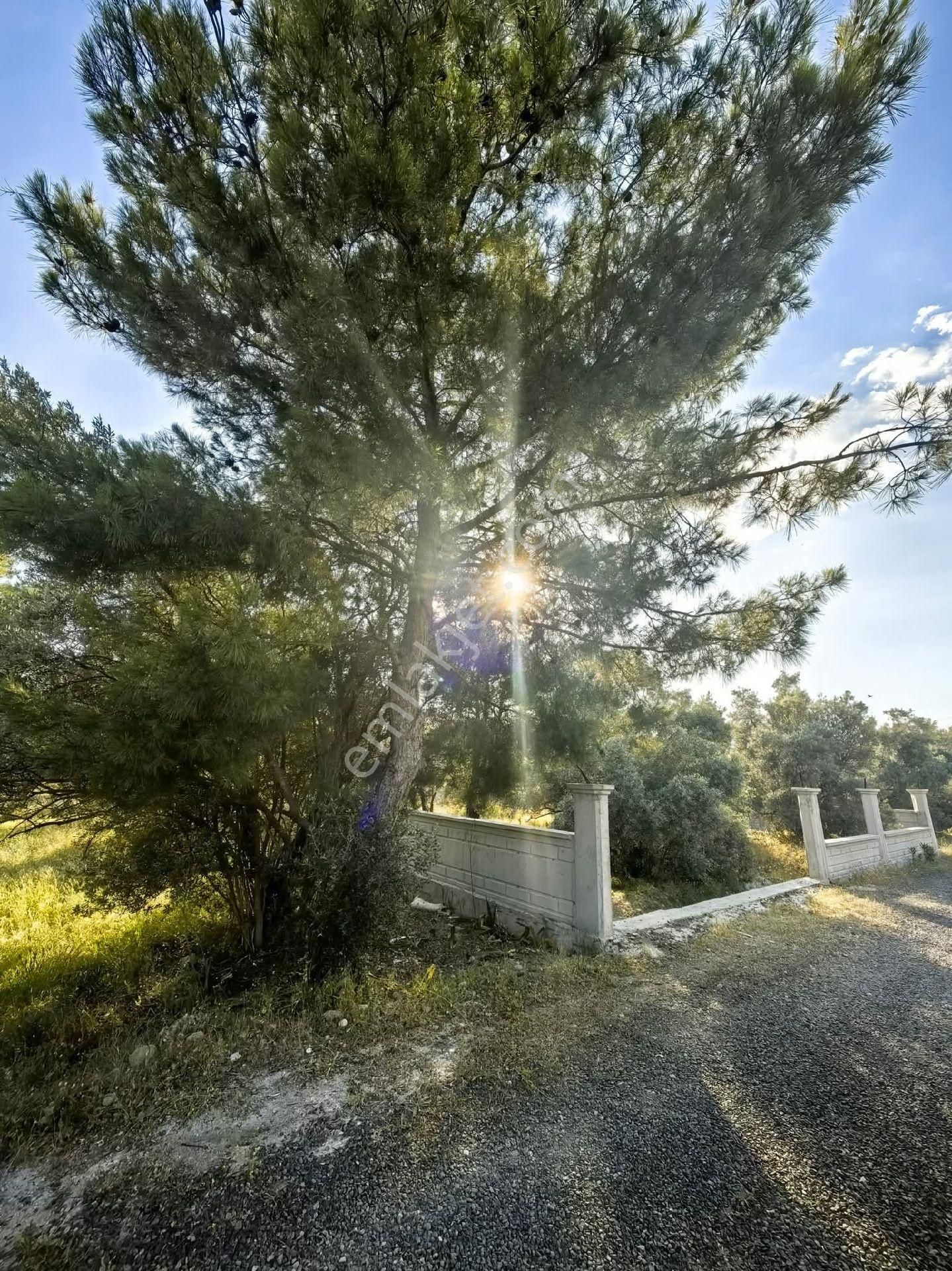 Ortacada 373 M2 Villa İmarlı Satılık Arsa