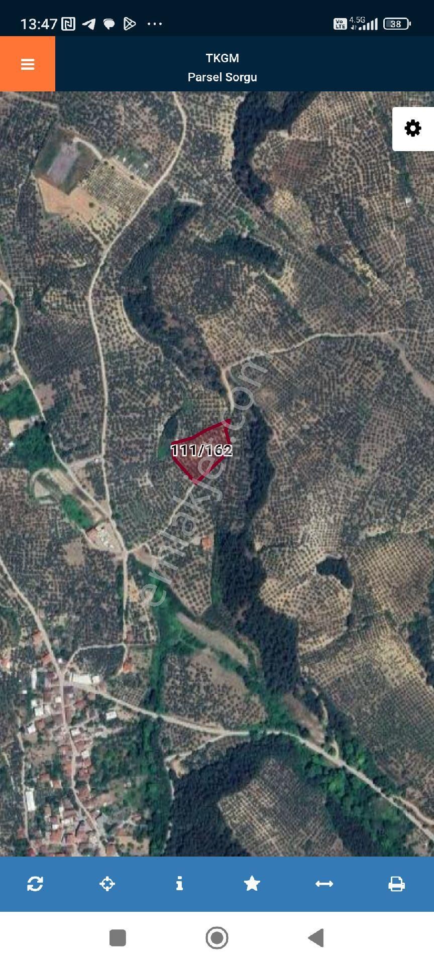 Mudanya Aydınpınar Mah İmara Yakın Zeytinlik