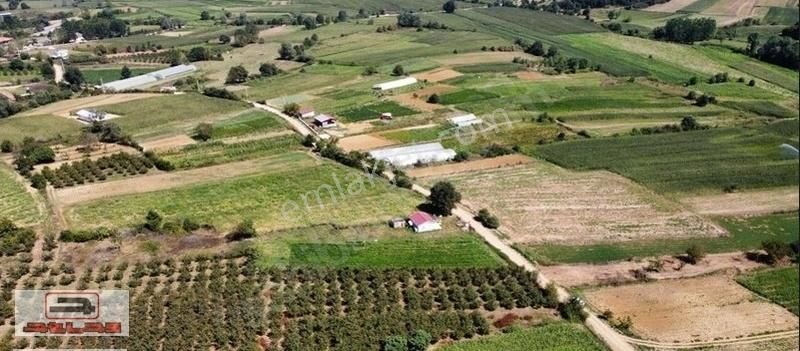 Atlas Emlak Kandıra Çiftlik Arazisi 4000m2 Satılık Tarla