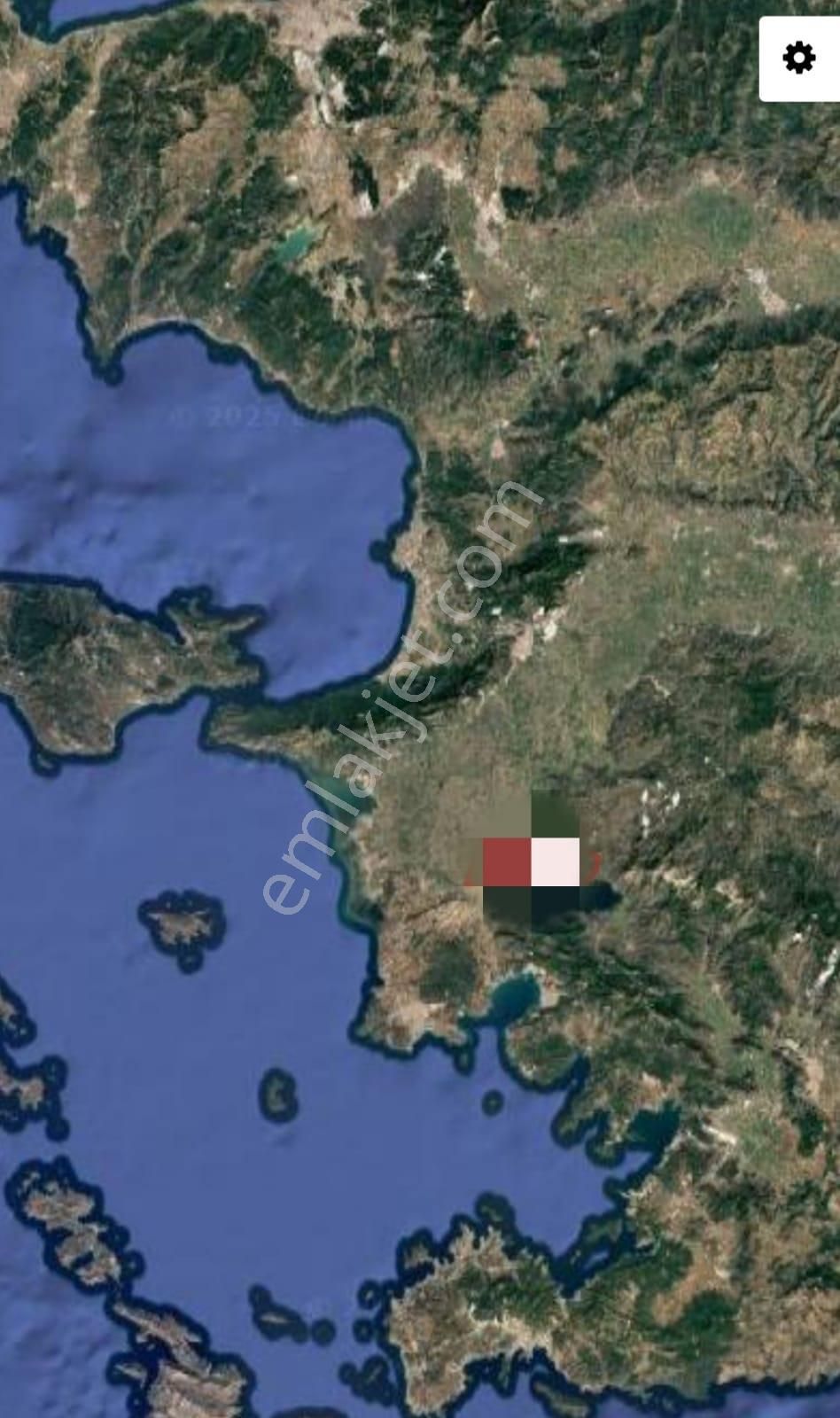 Serçin Köyü Sökede Satılık Zeytinlik - Görsel 5