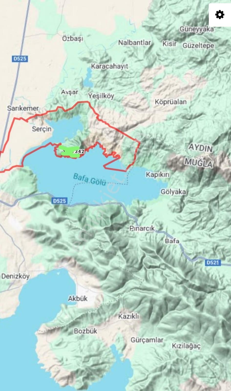 Serçin Köyü Sökede Satılık Zeytinlik - Görsel 3
