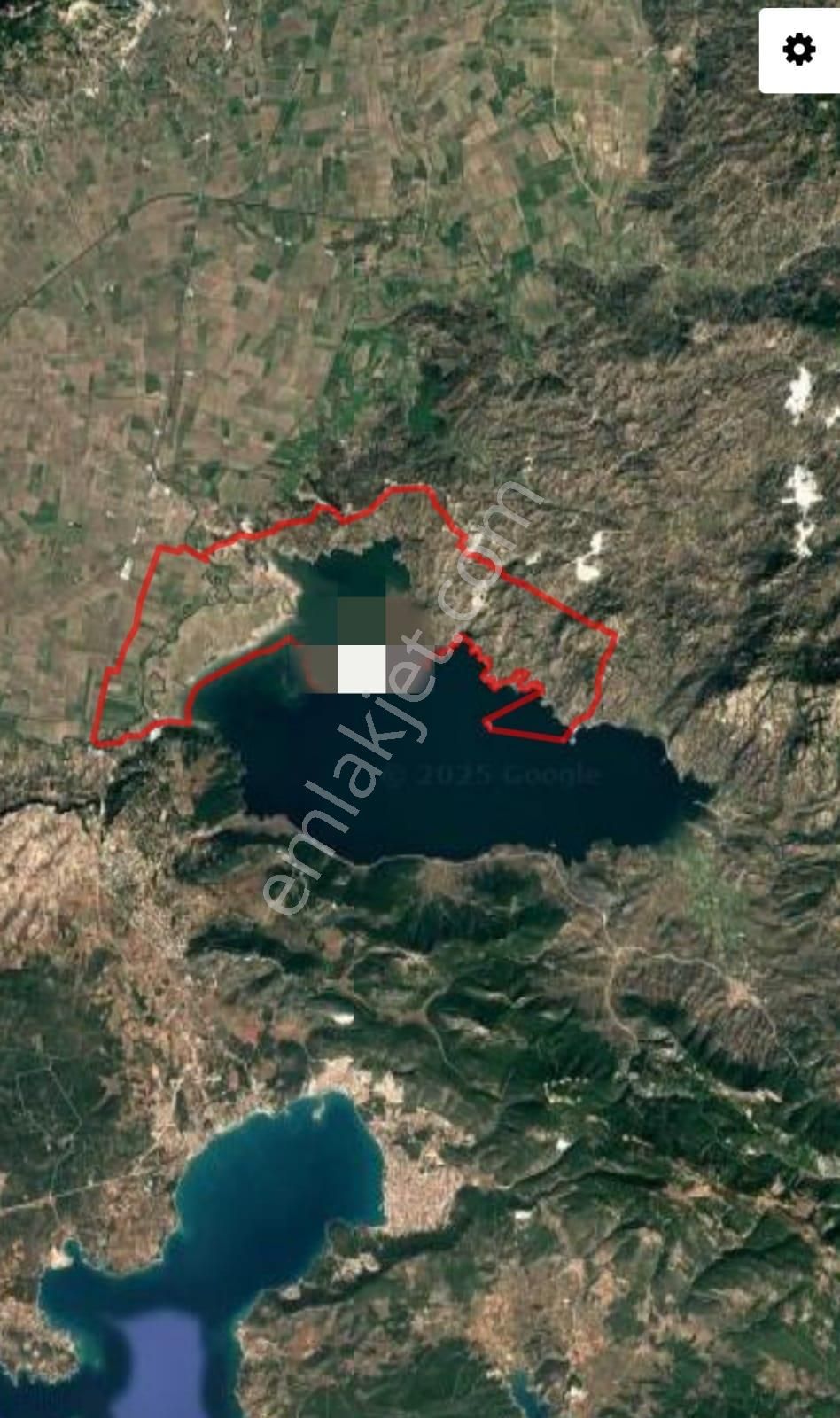 Serçin Köyü Sökede Satılık Zeytinlik - Görsel 4
