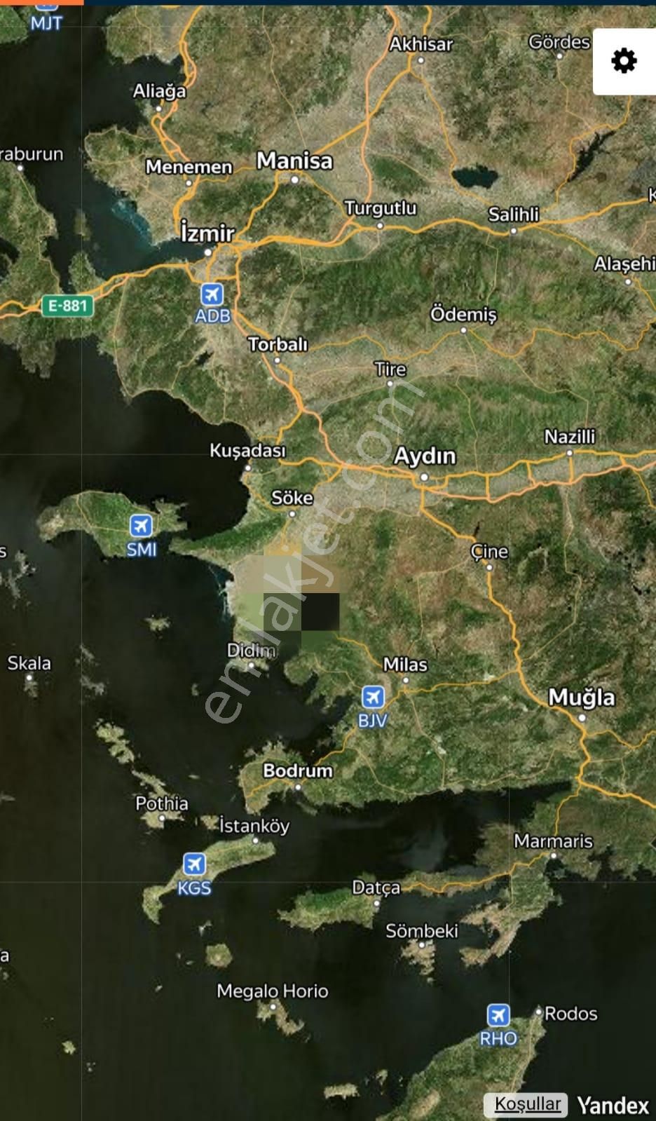 Serçin Köyü Sökede Satılık Zeytinlik - Görsel 9