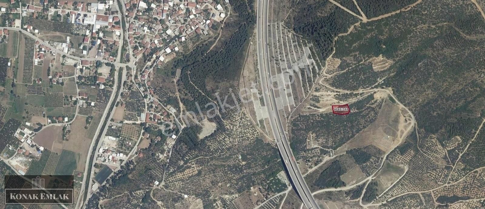 Osmangazi' De Acil Satılık Fırsat Tarla