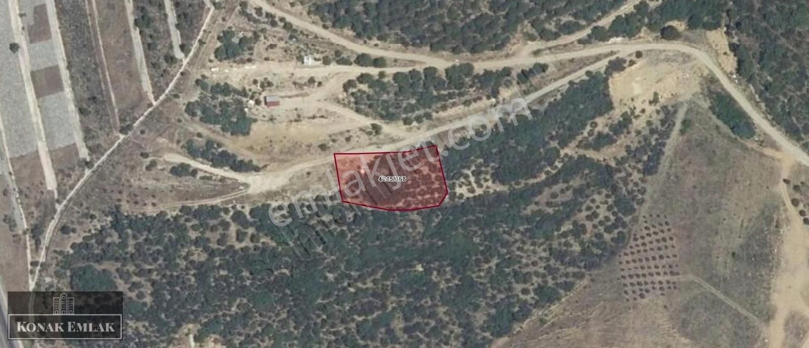 Osmangazi' De Acil Satılık Fırsat Tarla - Görsel 2