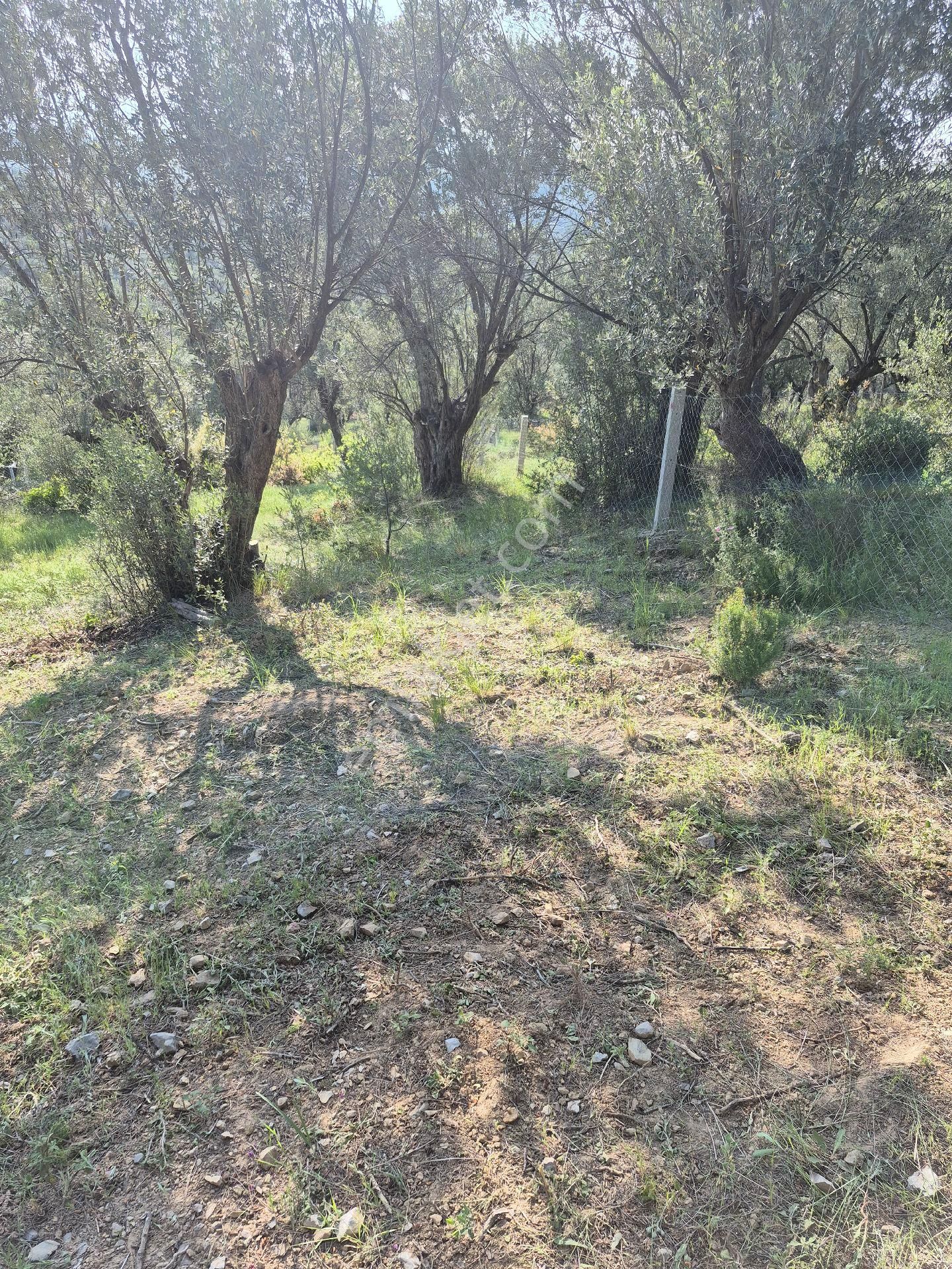 İzmir Torbali 535 Metre Kare Doğa Manzaralı Acıl Satılık - Görsel 5
