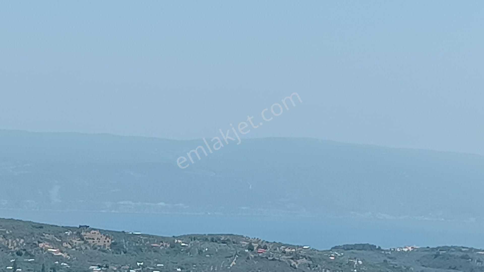 Mudanya Çepni Mahallesi'nde Fuul Deniz Manzaralı Tarla