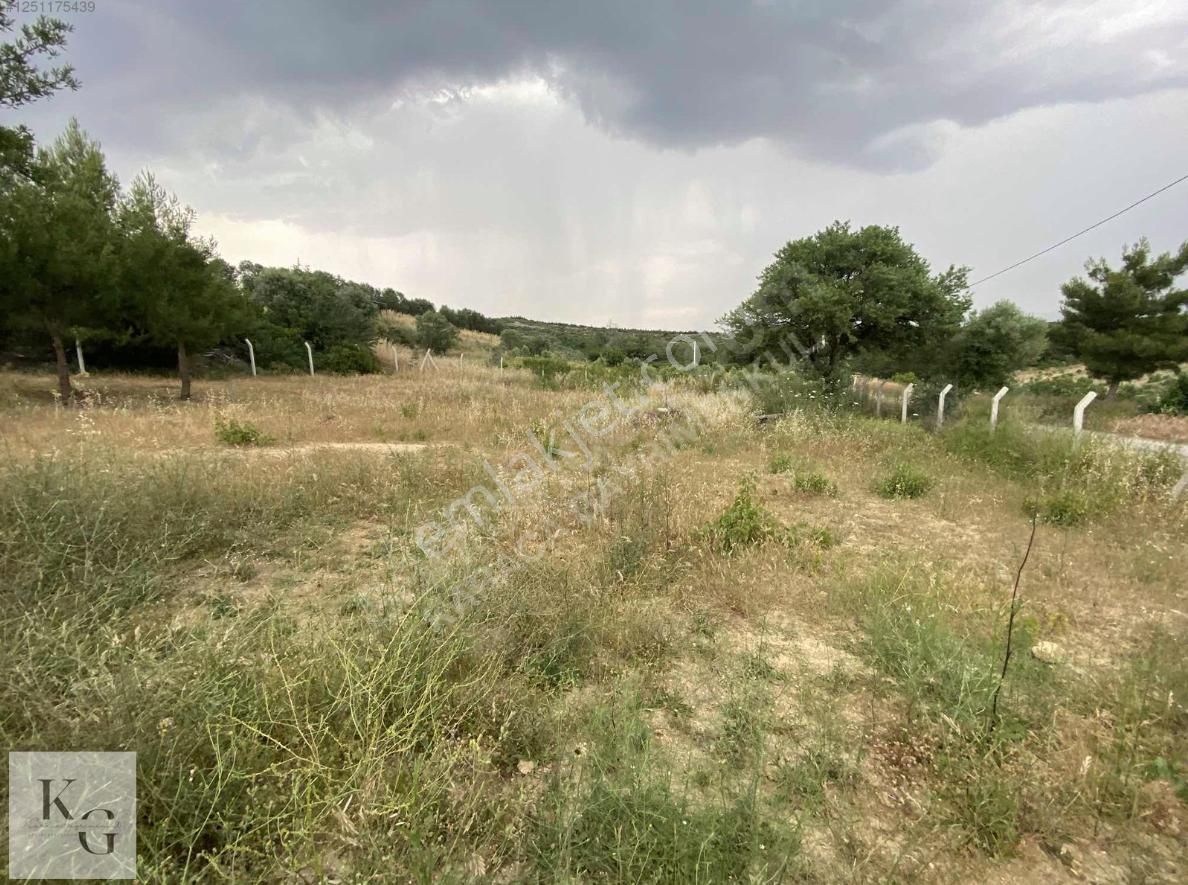 Karacadan Menderes Çatalcada Satılık 2 Adet 502 M2 Tek Tapu Tarla - Görsel 7