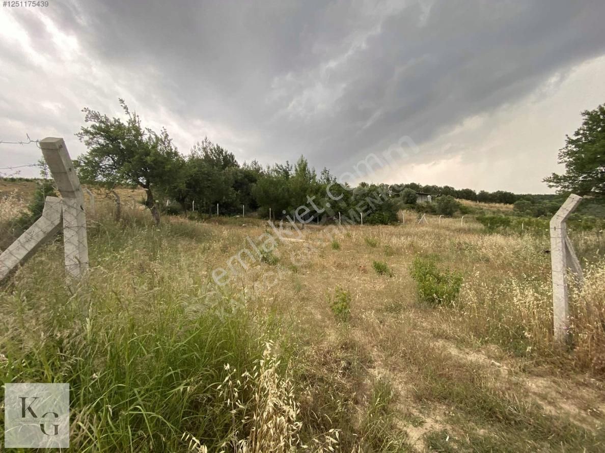 Karacadan Menderes Çatalcada Satılık 2 Adet 502 M2 Tek Tapu Tarla - Görsel 4