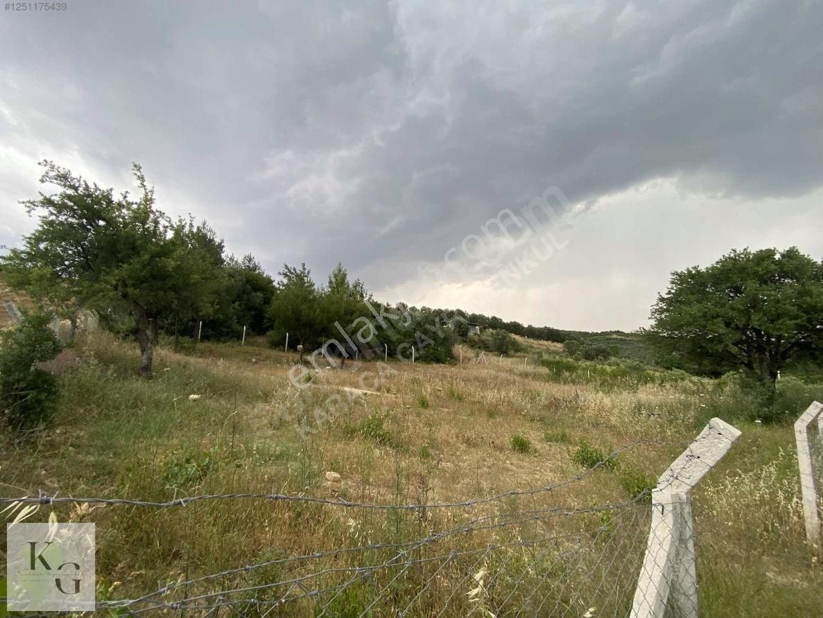 Karacadan Menderes Çatalcada Satılık 2 Adet 502 M2 Tek Tapu Tarla - Görsel 16