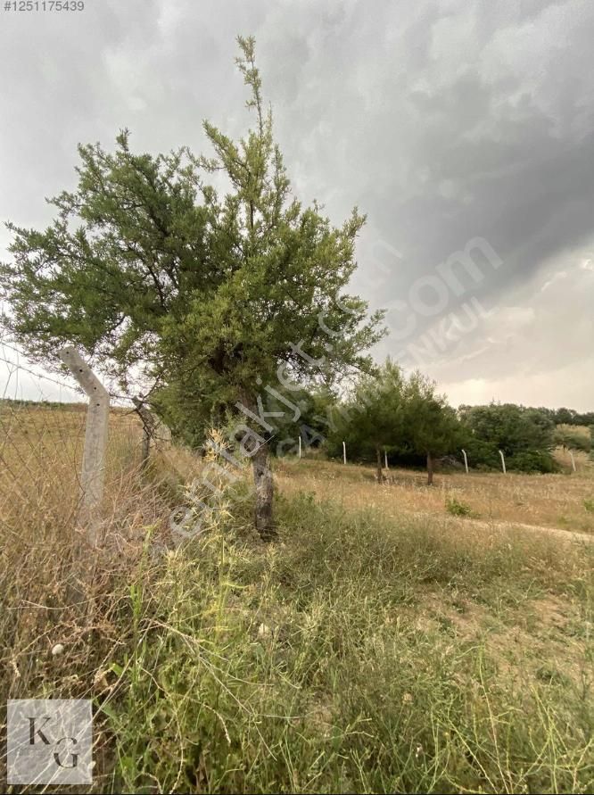 Karacadan Menderes Çatalcada Satılık 2 Adet 502 M2 Tek Tapu Tarla - Görsel 9