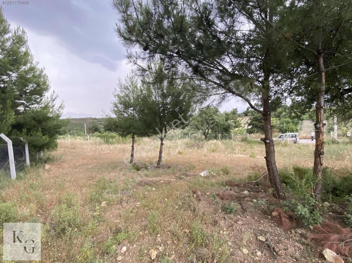 Karacadan Menderes Çatalcada Satılık 2 Adet 502 M2 Tek Tapu Tarla - Görsel 13