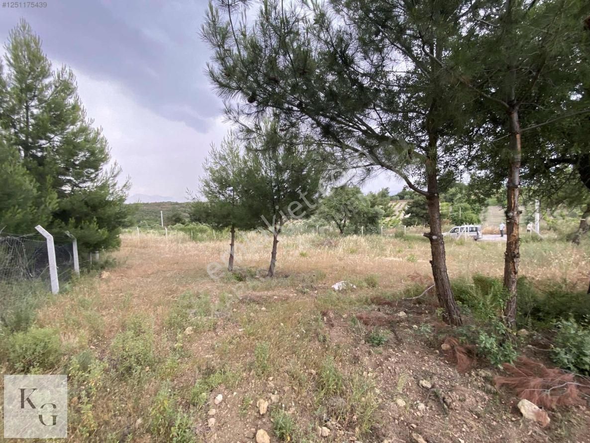 Karacadan Menderes Çatalcada Satılık 2 Adet 502 M2 Tek Tapu Tarla - Görsel 14