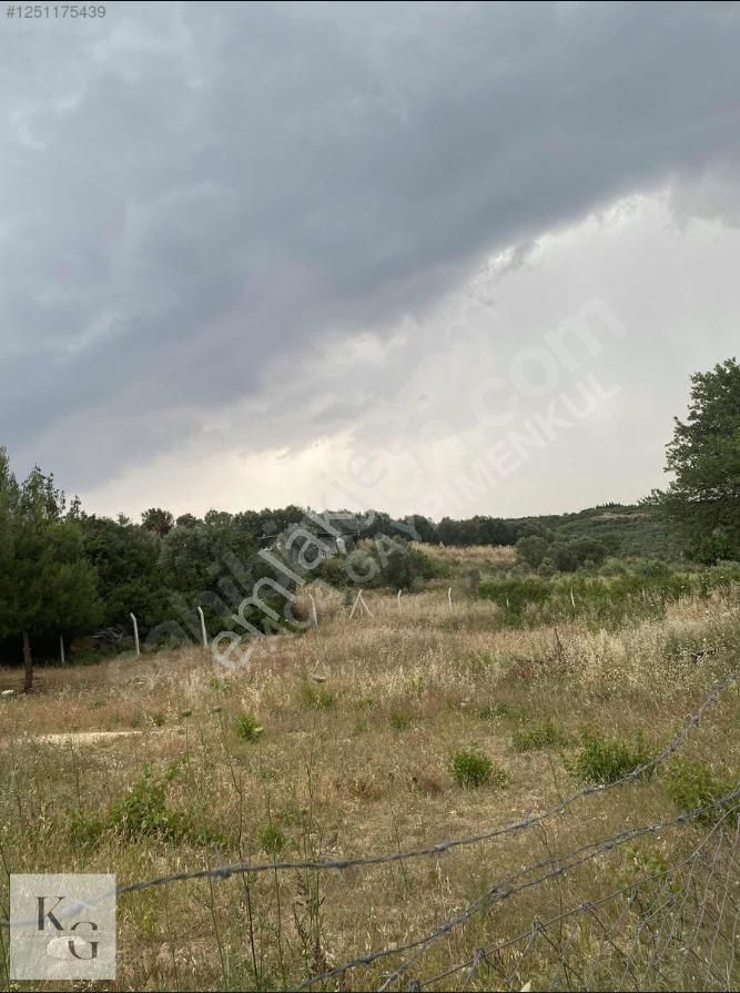 Karacadan Menderes Çatalcada Satılık 2 Adet 502 M2 Tek Tapu Tarla - Görsel 12