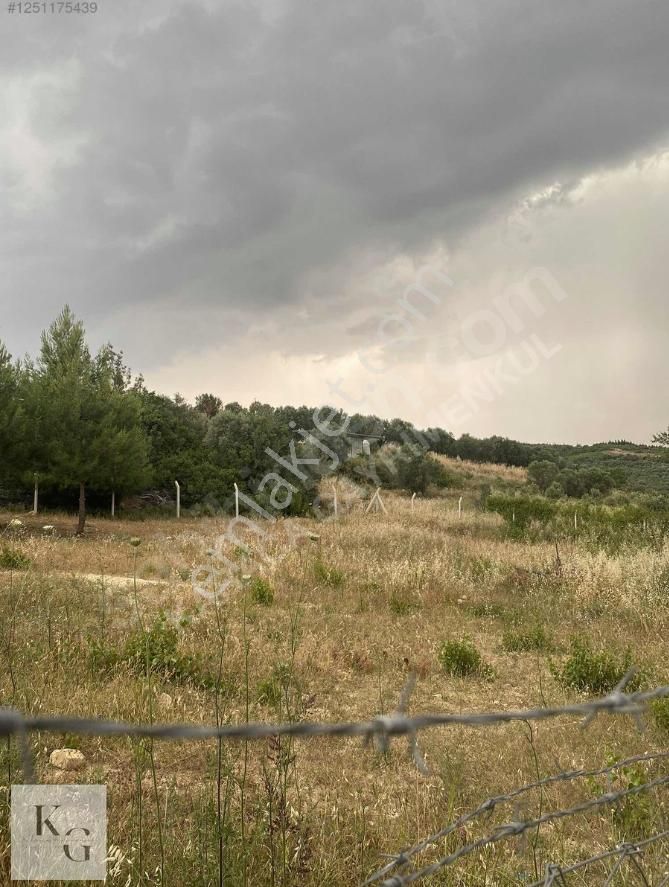 Karacadan Menderes Çatalcada Satılık 2 Adet 502 M2 Tek Tapu Tarla - Görsel 15