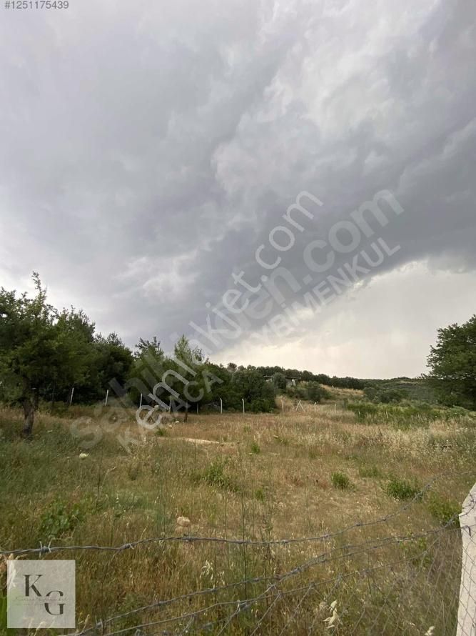 Karacadan Menderes Çatalcada Satılık 2 Adet 502 M2 Tek Tapu Tarla - Görsel 5