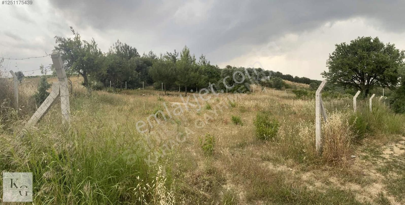 Karacadan Menderes Çatalcada Satılık 2 Adet 502 M2 Tek Tapu Tarla - Görsel 3