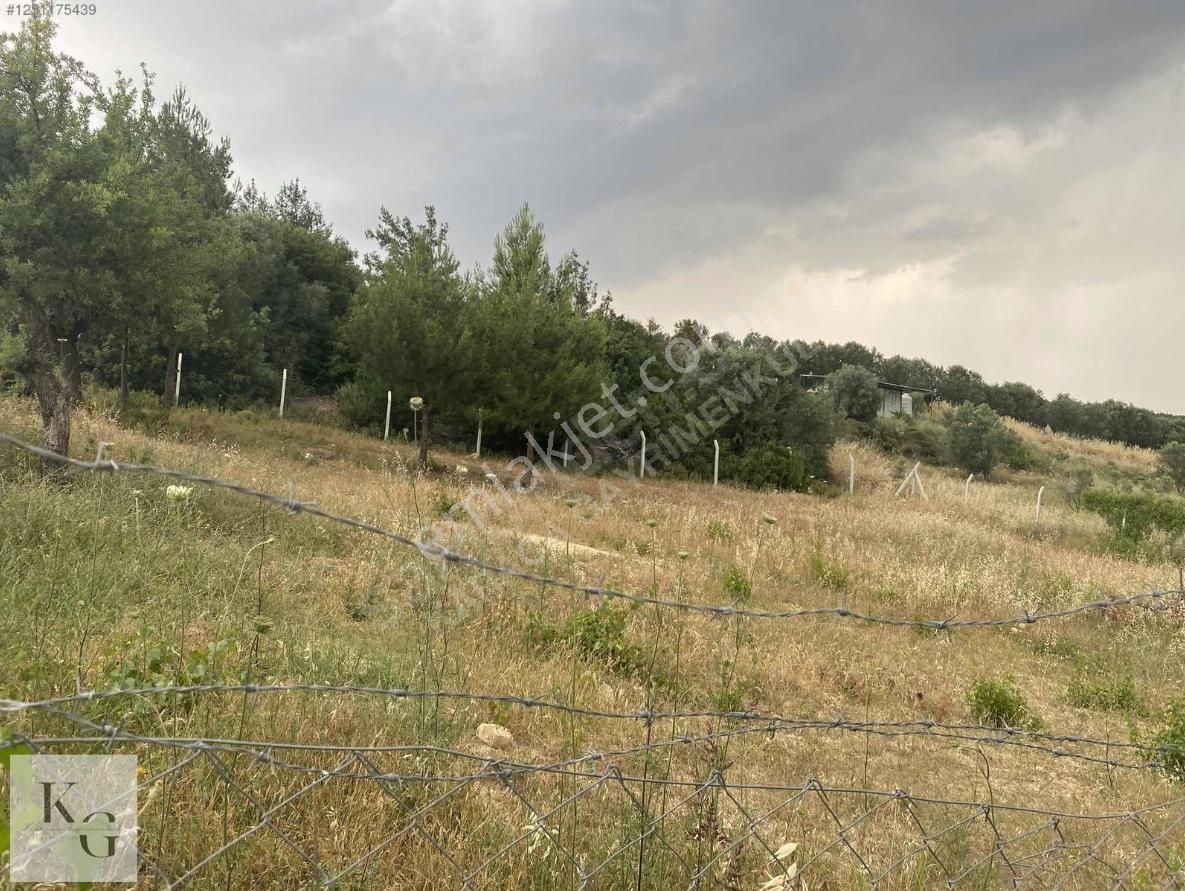 Karacadan Menderes Çatalcada Satılık 2 Adet 502 M2 Tek Tapu Tarla - Görsel 11