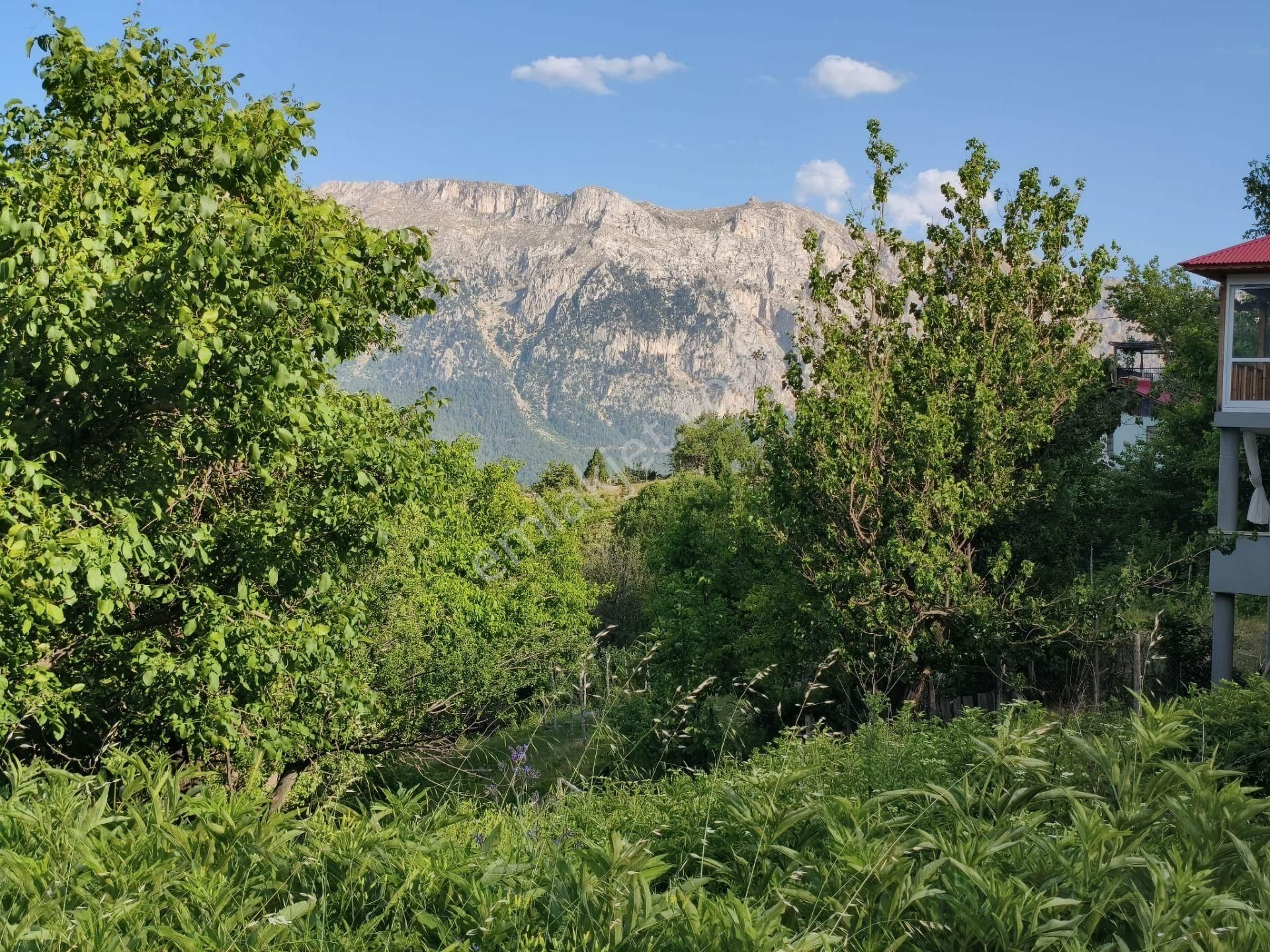 Pozantı Kar Emlaktan Akçatekir Çıralı Mevkiinde Doğa Manzaralı Satılık Yaylalık 385 M2 Arsa - Görsel 10